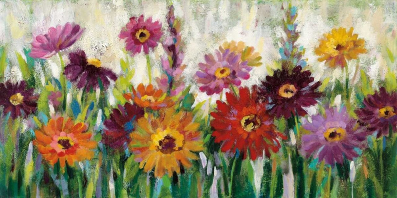 Jewel Daisy Gerbera Poster Print by Silvia Vassileva - Item # VARPDX33974HR